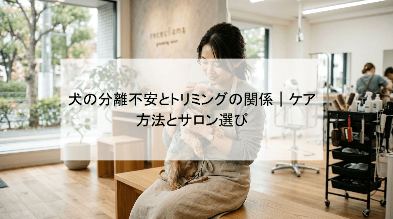犬の分離不安とトリミングの関係|ケア方法とサロン選び