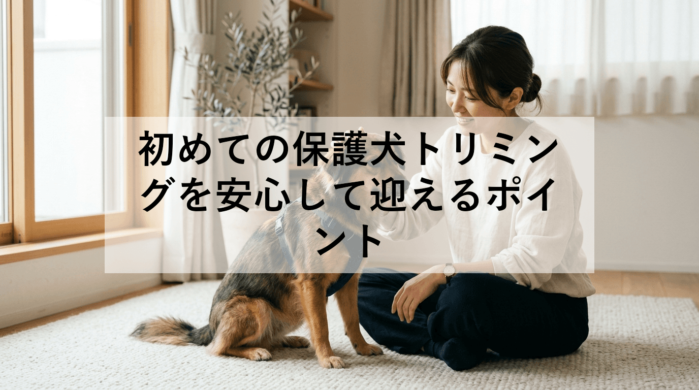初めての保護犬トリミングを安心して迎えるポイント