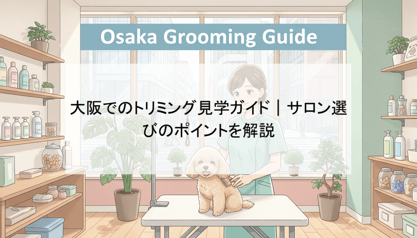 大阪でのトリミング見学ガイド|サロン選びのポイントを解説
