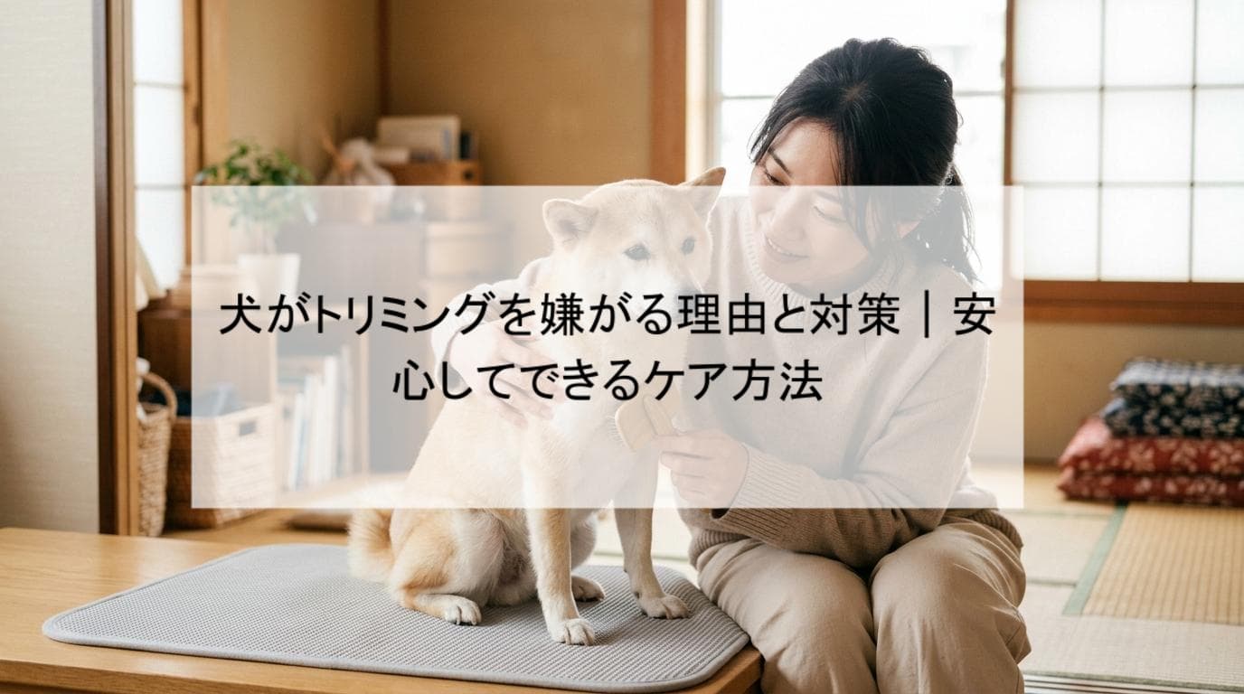 犬がトリミングを嫌がる理由と対策|安心してできるケア方法