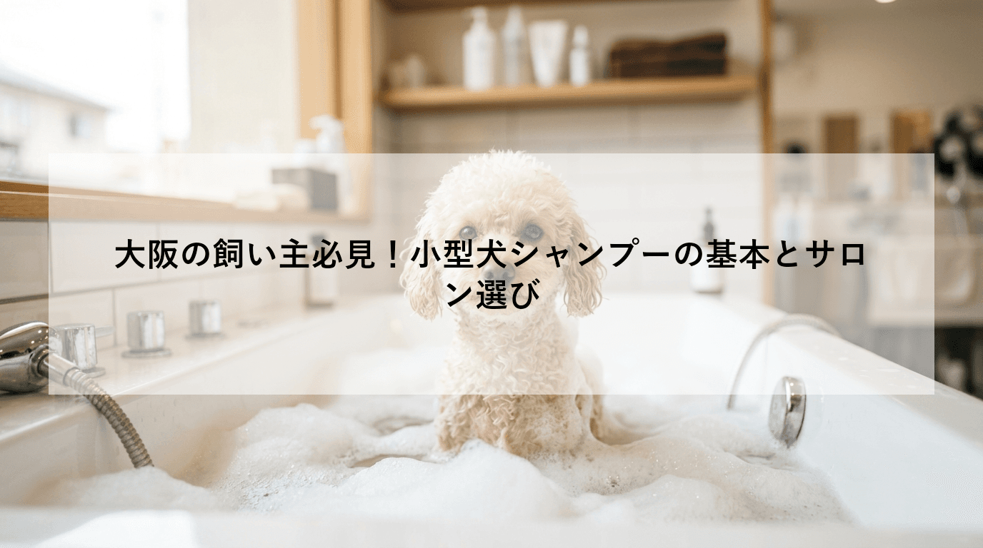 大阪の飼い主必見!小型犬シャンプーの基本とサロン選び