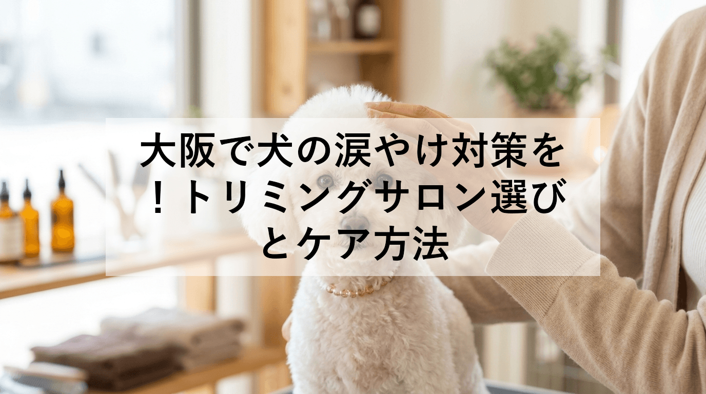 大阪で犬の涙やけ対策を!トリミングサロン選びとケア方法