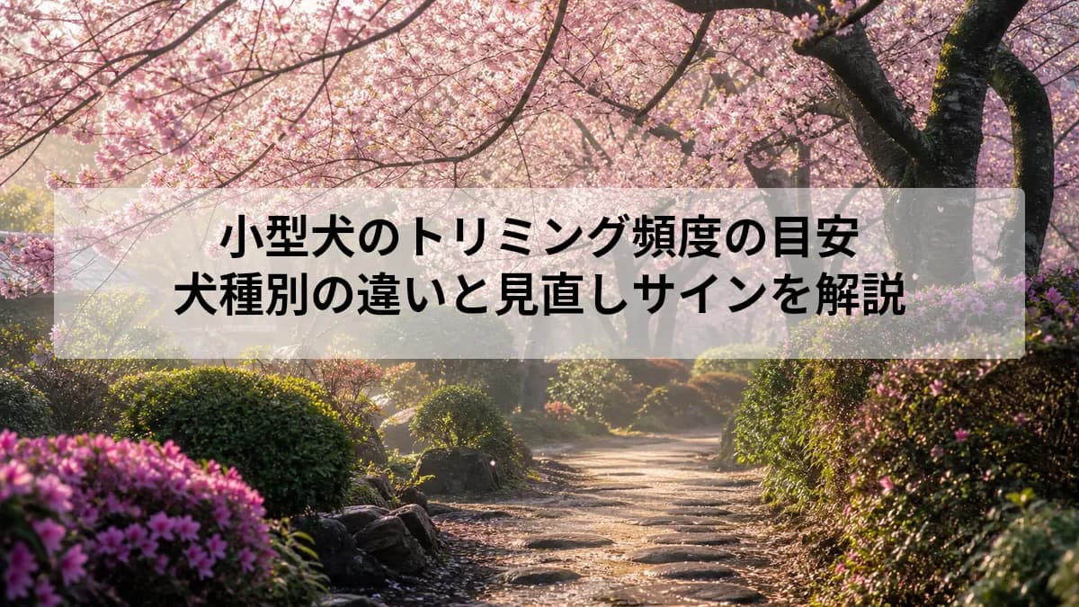 小型犬のトリミング頻度の目安|犬種別の違いと見直しサインを解説