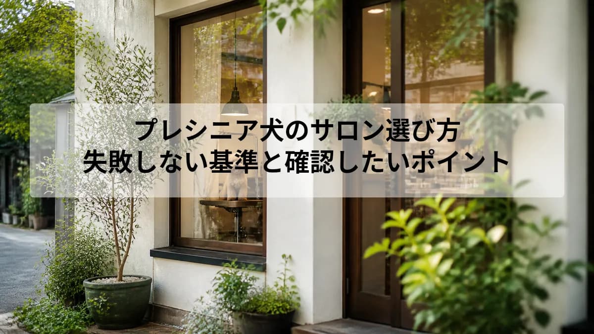 プレシニア犬のサロン選び方|失敗しない基準と確認したいポイント